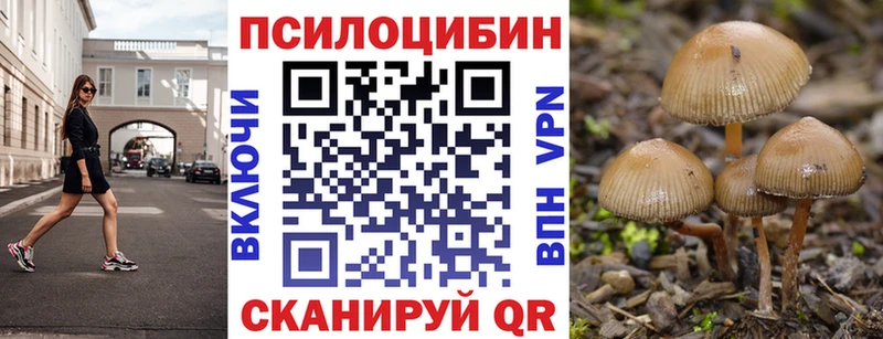 Псилоцибиновые грибы Psilocybine cubensis  площадка телеграм  Юрьев-Польский 