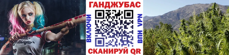 блэк спрут ссылка  Юрьев-Польский  Марихуана Amnesia 
